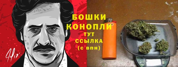 СК Болохово