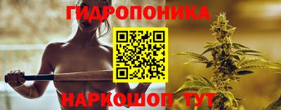 скорость Жуковский