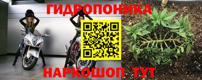 гашик Заволжье