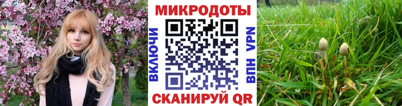 сколько стоит  Котельники  нарко площадка официальный сайт  Псилоцибиновые грибы Magic Shrooms 