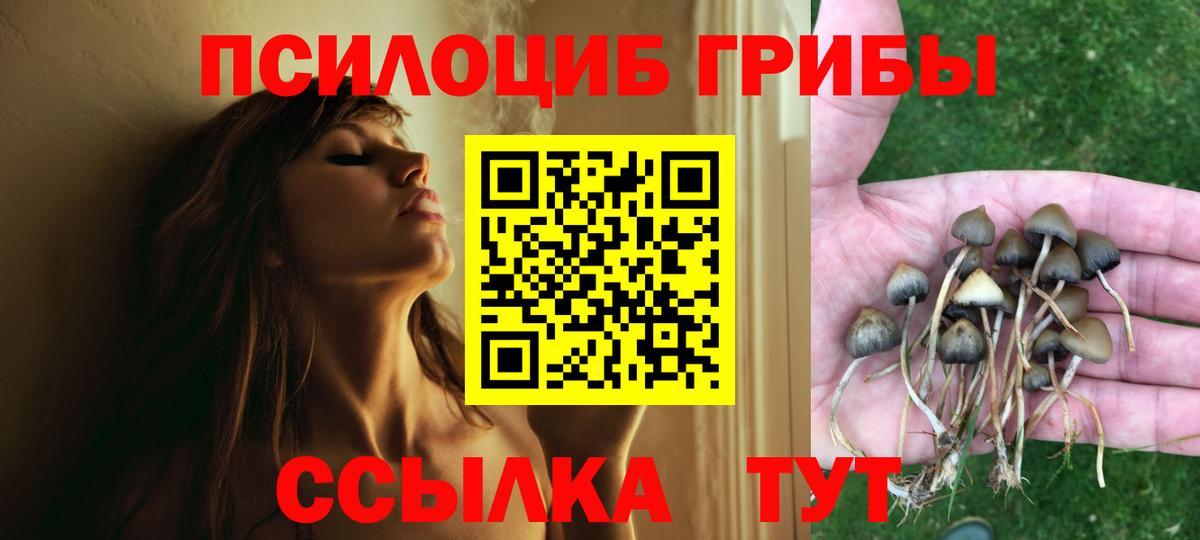 как найти закладки  Псилоцибиновые грибы MAGIC MUSHROOMS  Вход с VPN  Котельники 